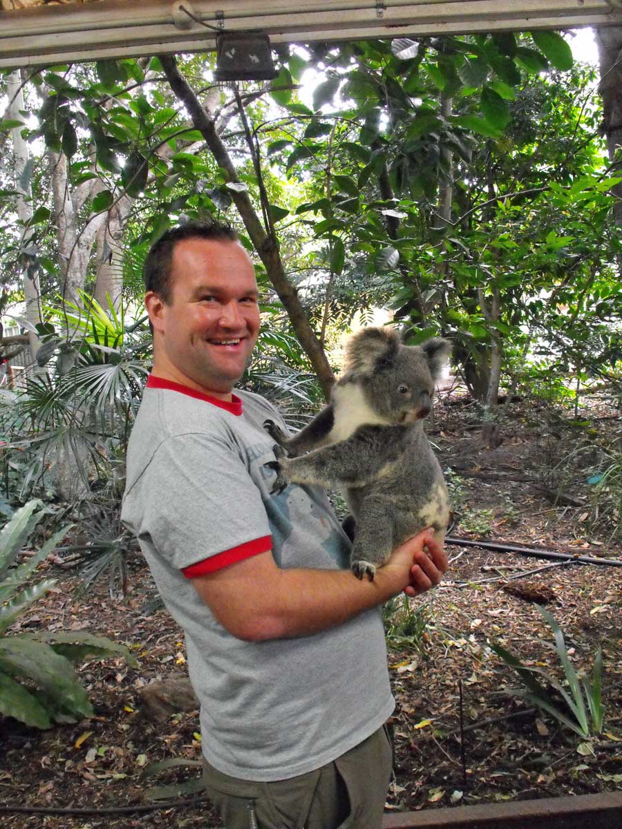 where-can-i-hold-a-koala-in-australia