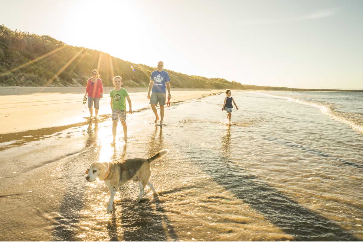 Currarong Beach, NSW: Why Visit This Jervis Bay Beach?