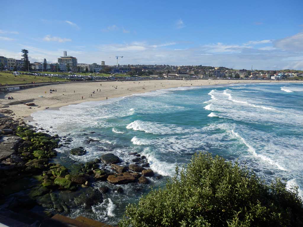 Are there sharks at Bondi Beach?